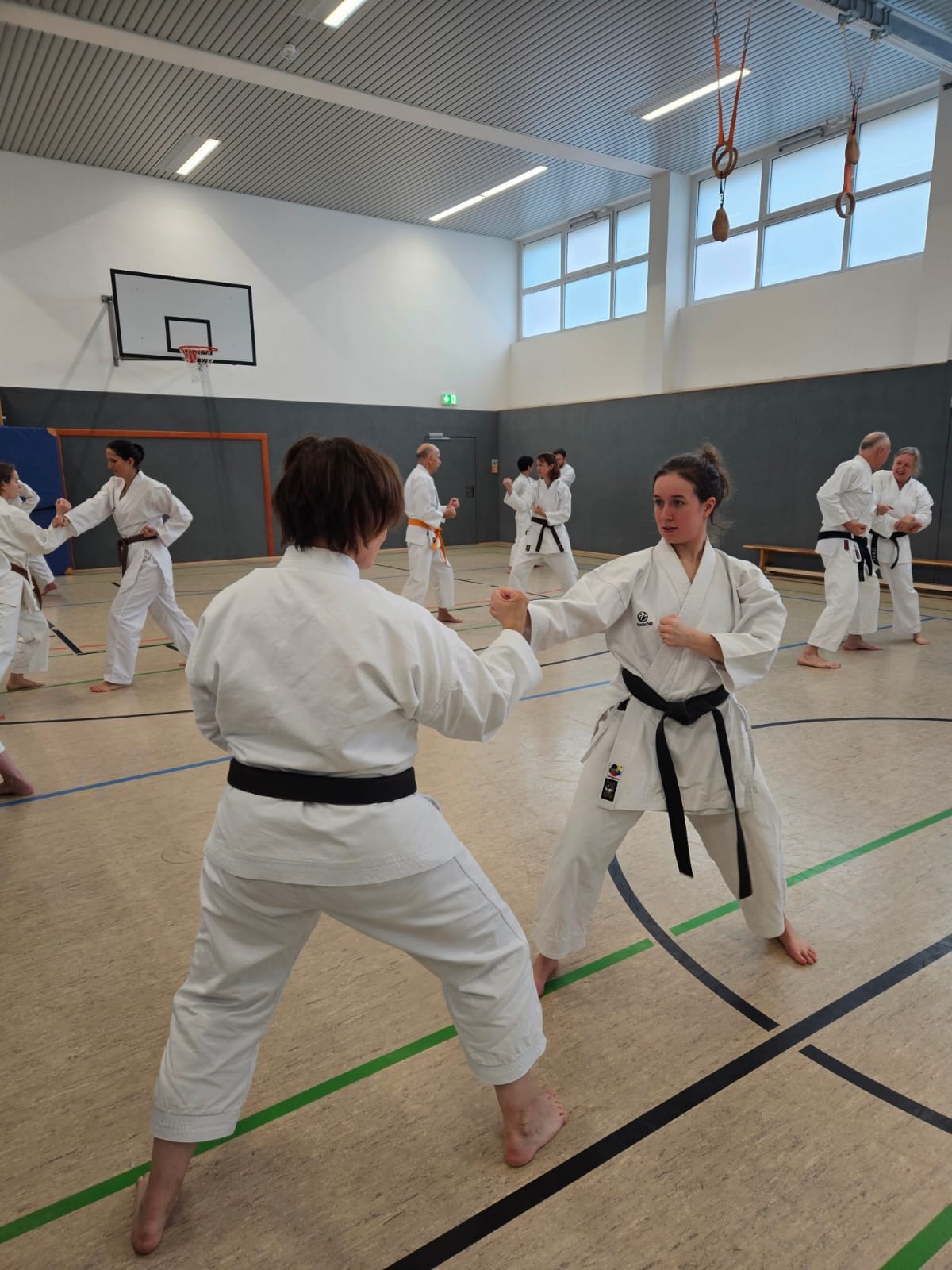 Eindrücke vom Vereinstraining mit Schahrzad